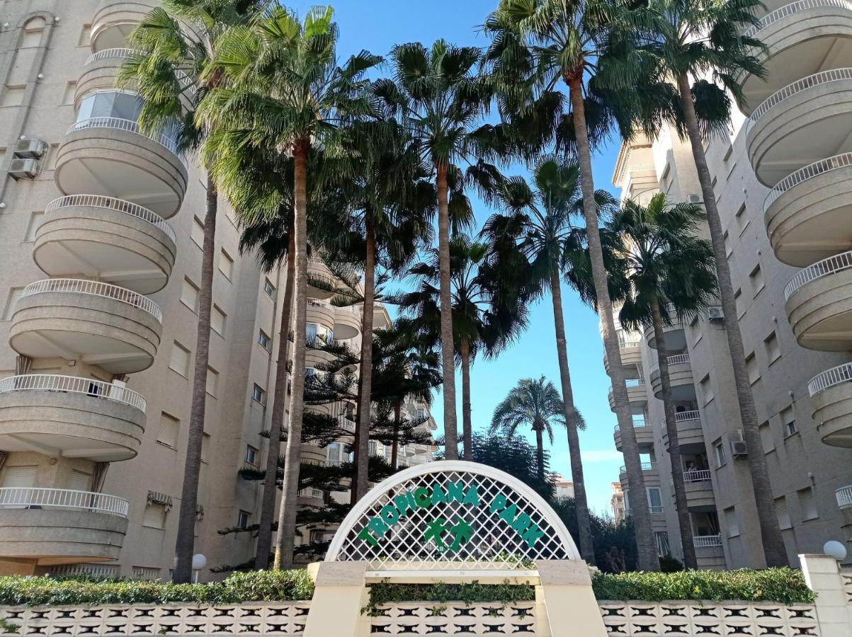 Tropicana Park Solo Familias Serviplaya Гандія Екстер'єр фото